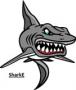 shark
