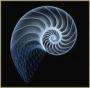 Serge_X20XEV