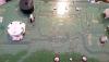 20150408_092325.jpg