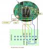 mpc5565-pinout-2.jpg