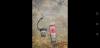 Screenshot_20190206_232709_com.android.gallery3d.jpg