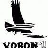 Voron91