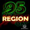 region95-