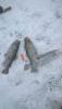 IMG-20180113-WA0008.jpg