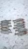 IMG-20180113-WA0015.jpg