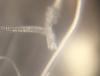 238FD70C-3A58-4CA6-AE18-C3B4ED9B5A33.jpeg