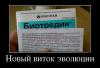 91354192_novyij-vitok-evolyutsii.jpg