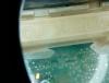 IMG_20140925_101846.jpg
