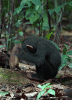 28304-6f8511894a22d90f0d764541505bf787.gif