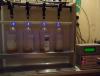 DSC00272.JPG