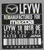 LFYW 18 881R OE_.jpg