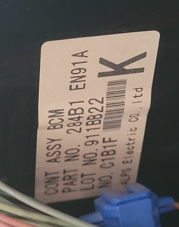 20240909_180735 (cut).jpg