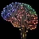 Поднявшийся спящий