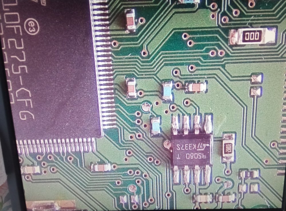 95080.jpg