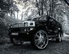 1271508995_hummer_000.jpg