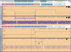 snffl9613l.gif